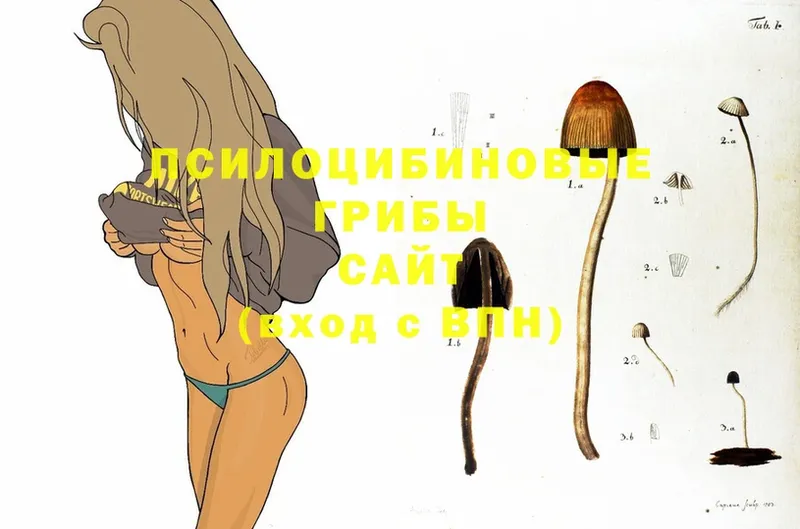 Цена Верхняя Салда Бошки Шишки  Меф мяу мяу  Codein  ГАШИШ 